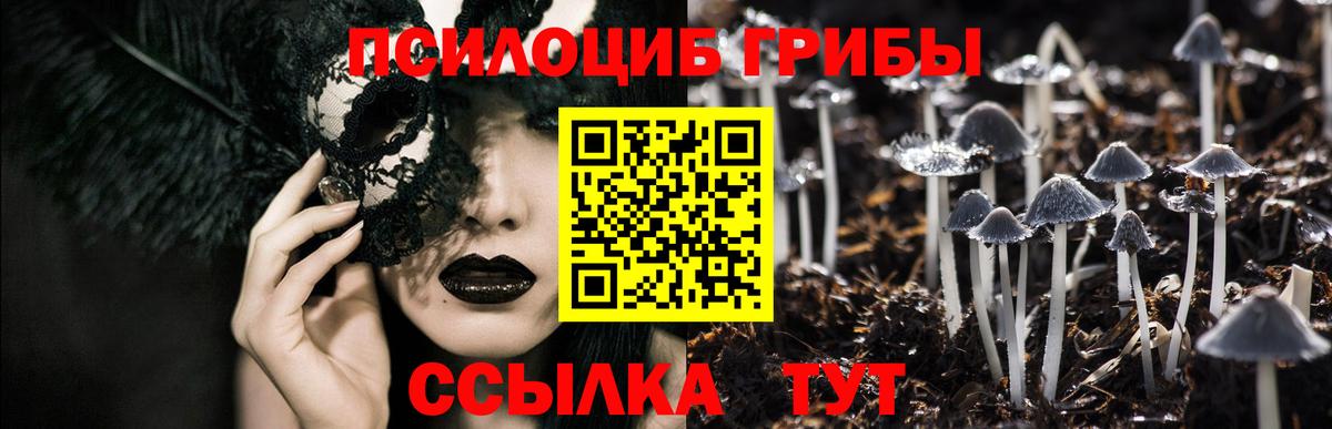 Псилоцибиновые грибы Psilocybine cubensis Трёхгорный